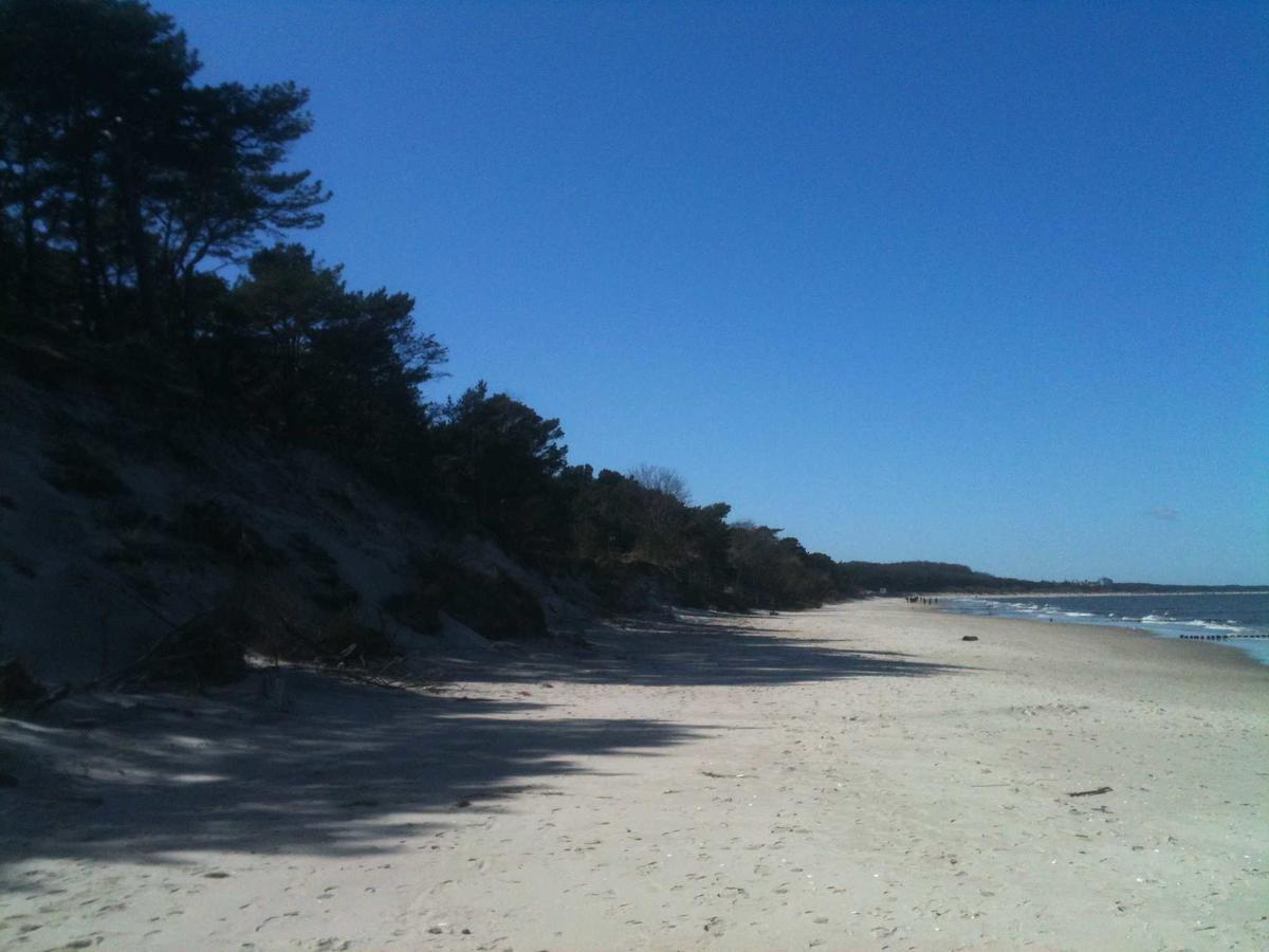 Zempin Ostseepark We 36 _Insel Use Bagian luar foto